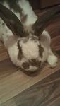 received 753022031457262.jpeg