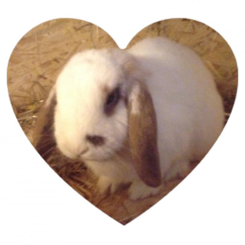 <3