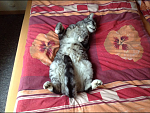 unser Fritz
