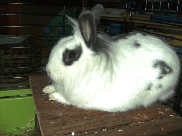 BILD1498
