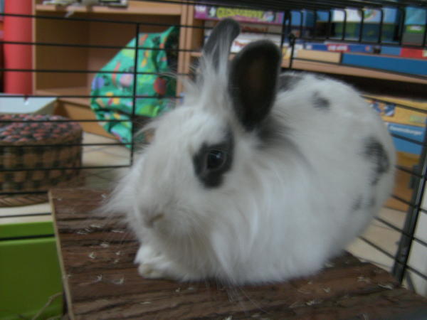 BILD1495