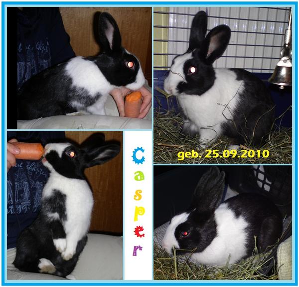 Casper