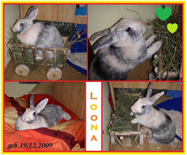 Loona