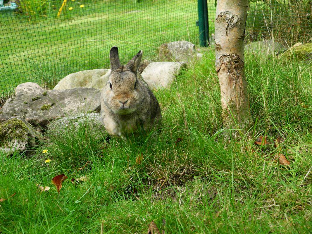 Mitten im Sprung!