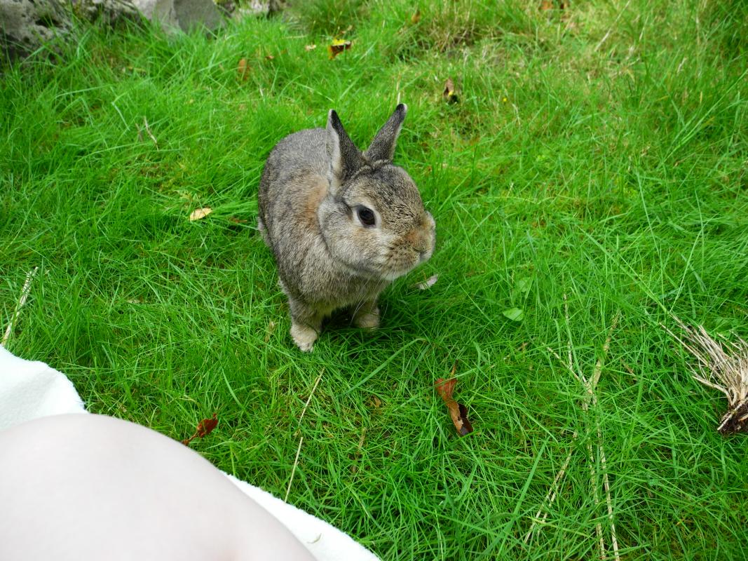 Er guckt so zufrieden :3
