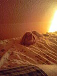 Hier chillt der Dicke im Bett^^