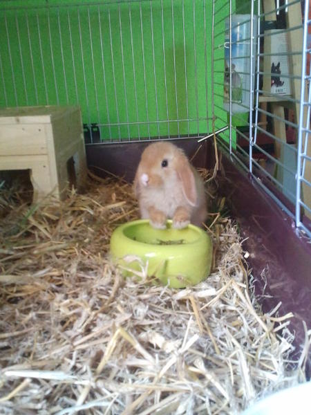 Hier war er 2Monate alt ;)