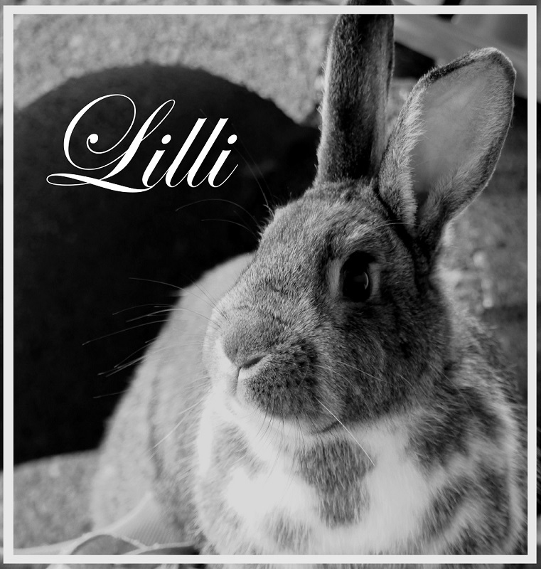 Lilli