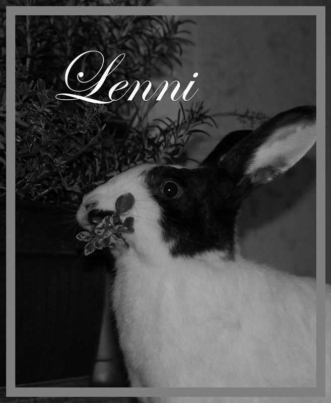 Lenni