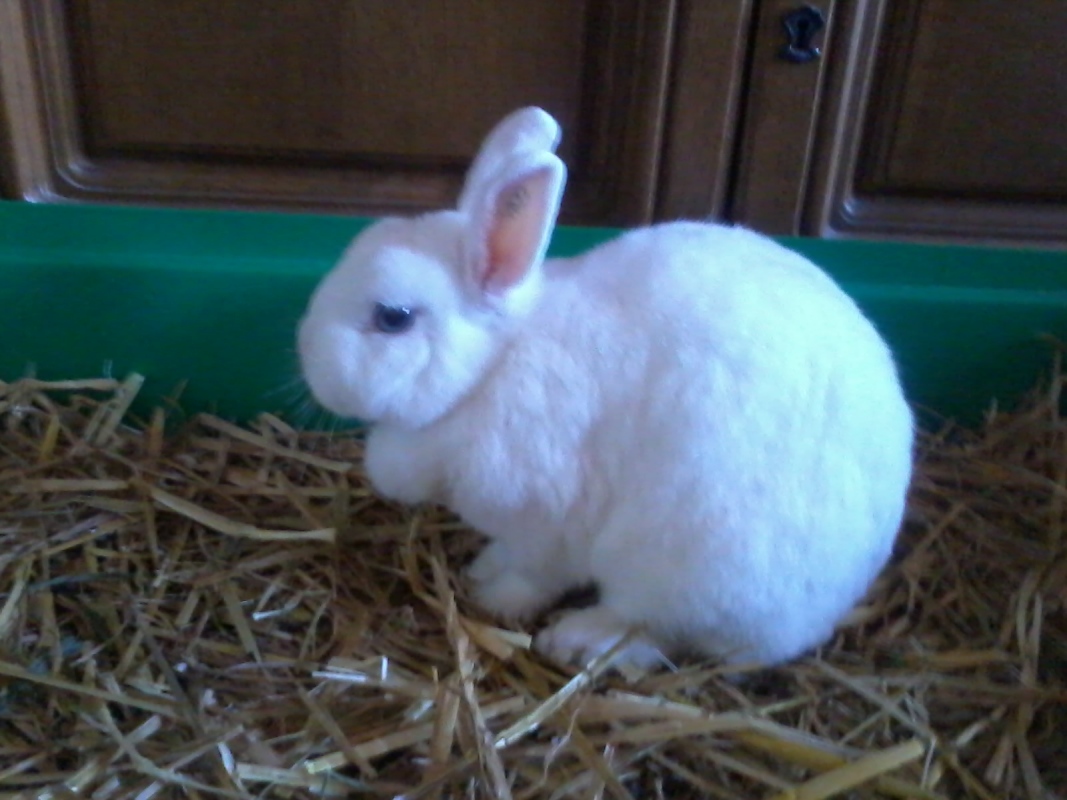 Lucy (5 Jahre)