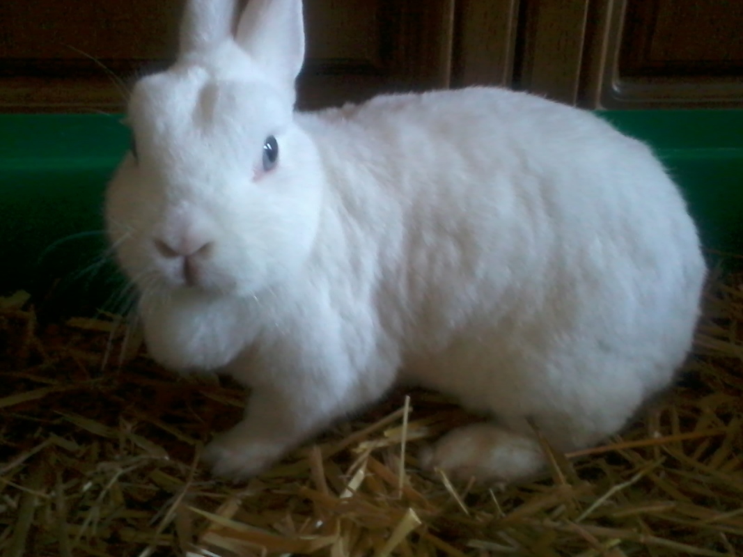 2013 10 07 Lucy