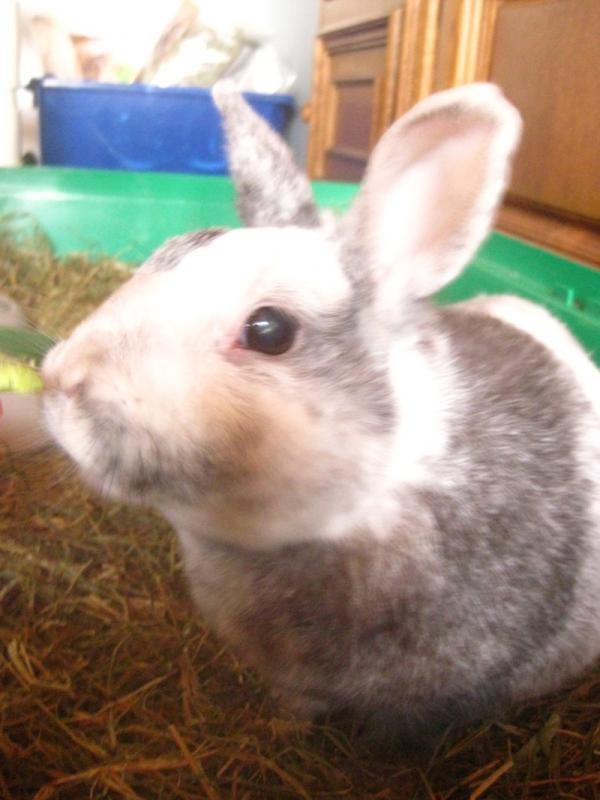 Luke  RIP 13.7.2013