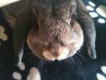 Was guckst Du ?