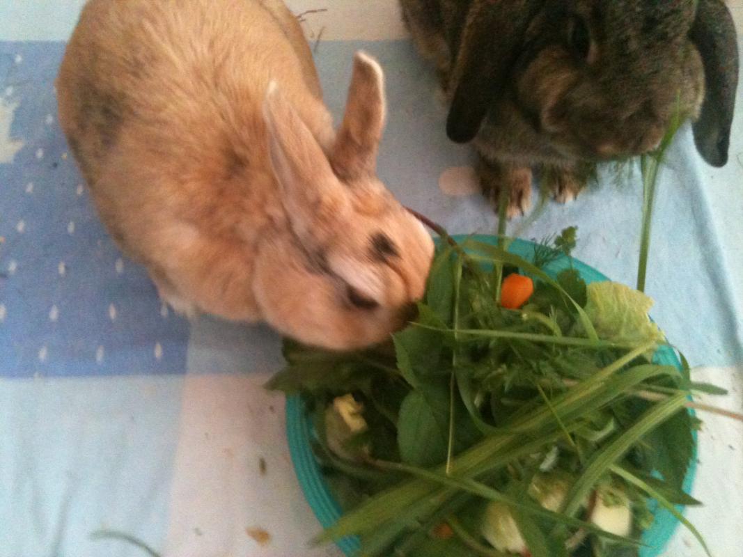 Mahlzeit !!