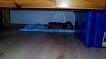Bilder neu 001