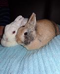 Kuschelstunde
