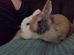 Kuscheln