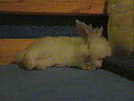 Mino und Pauline