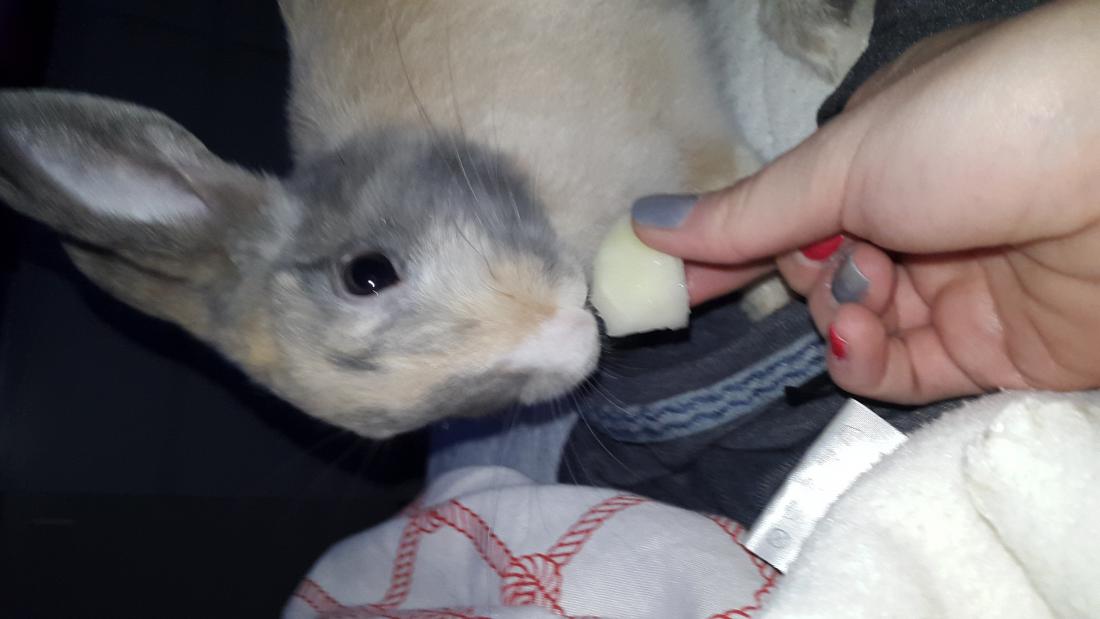 Mhmm. *m�mmel* 
Kohlrabi schmeckt ja soo gut.