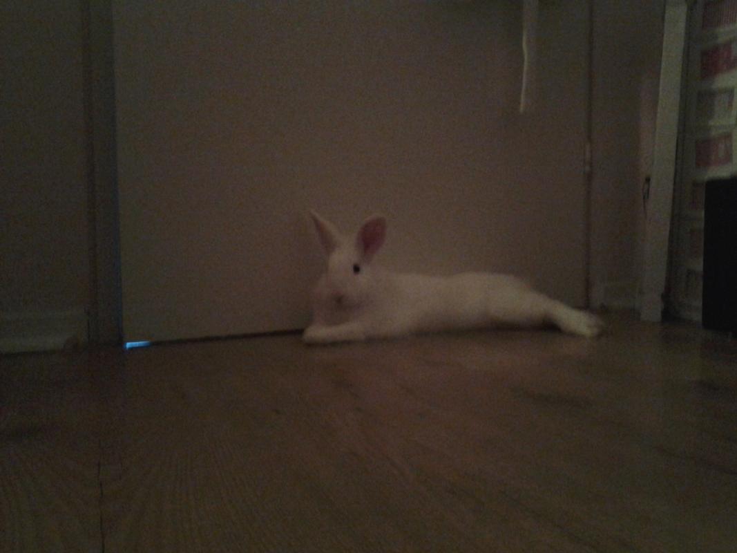 20131223 082853