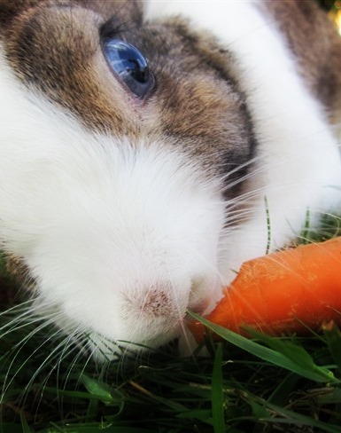 Mein Schatz <3