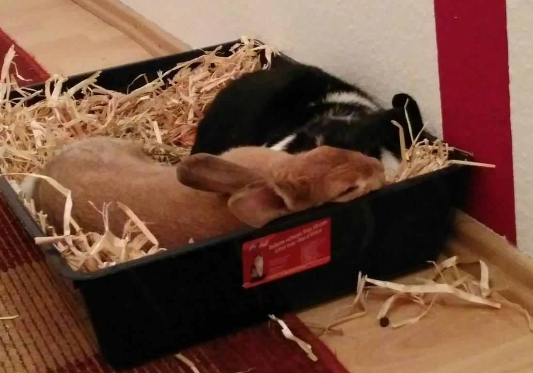 Bei der Vergesellschaftung :D