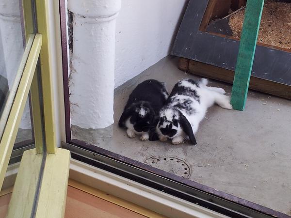 Benni und Janine