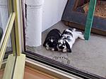 Benni und Janine