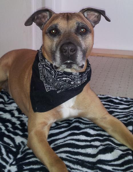 the old guy :)