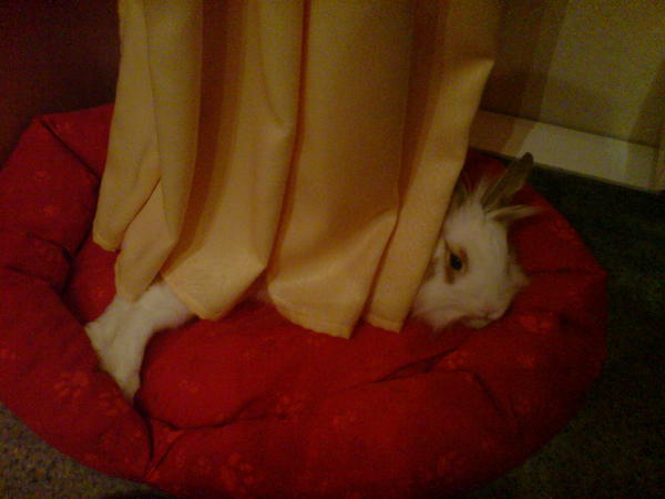Eddi :)
