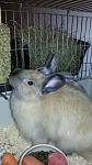 IMG 20121123 WA0003