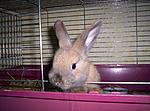 Unsere beiden S��en