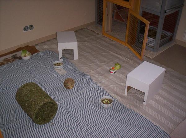 Die Ruhe vor dem Sturm