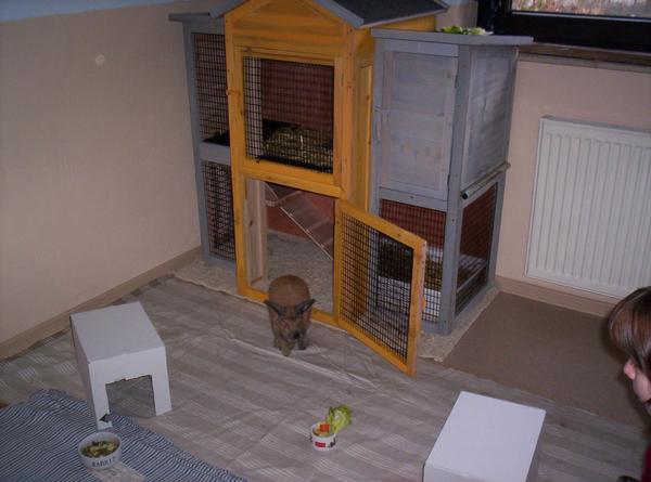 Hausherr Barnie