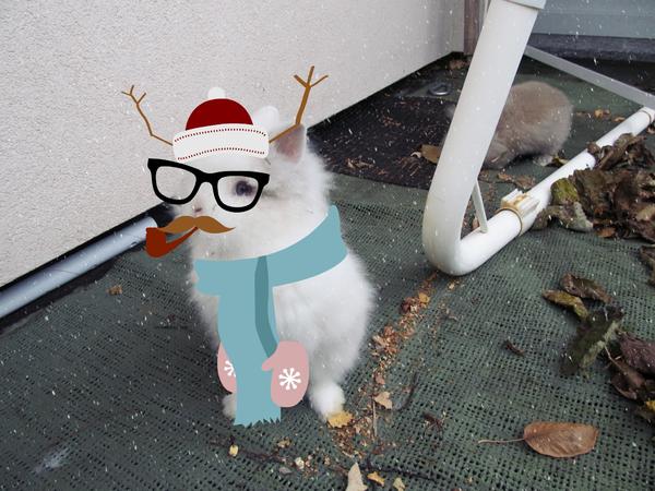 itscoldoutside