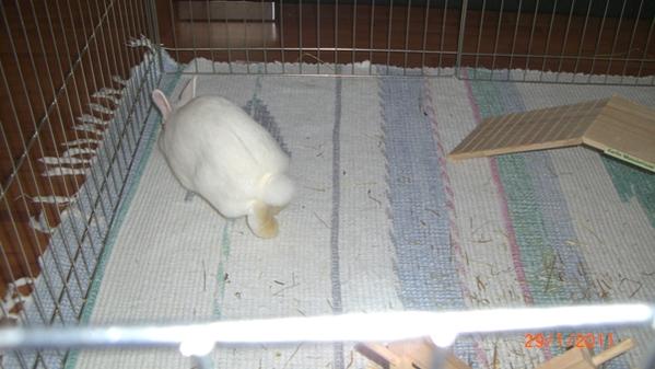 Muss mal kurz sn�ffeln was hier so gut duftet ! War das meine Dame ?

Mary wo bist du ?