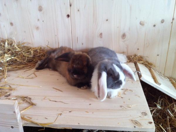 Kuscheln?!