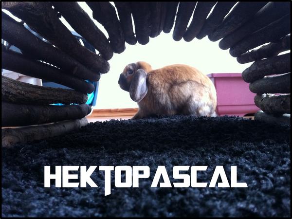Schokob���r ♥