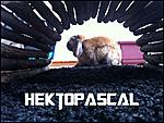 Schokob���r ♥