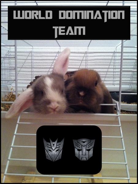 Als Babies schon EVIL xD