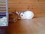 Laila mit Piet