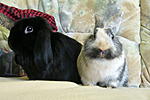 Meggy und Jacky