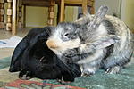 Jacky und Meggy