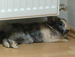 Weitere Bilder