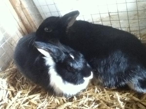 Fee & Maya