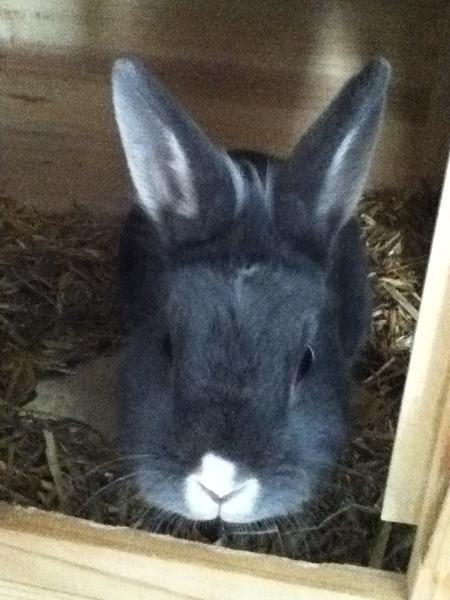 Lilly ❤