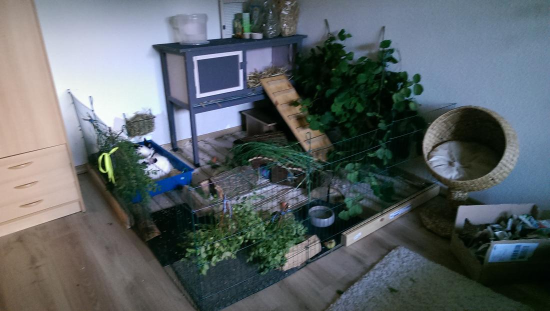 Der Spielplatz