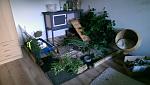 Der Spielplatz