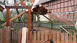 IMG 20140929 WA0001