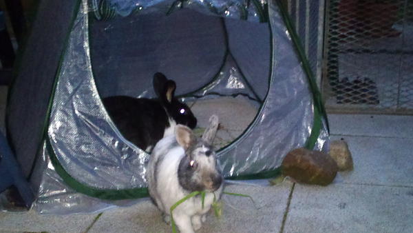 Beim Zelten :-)